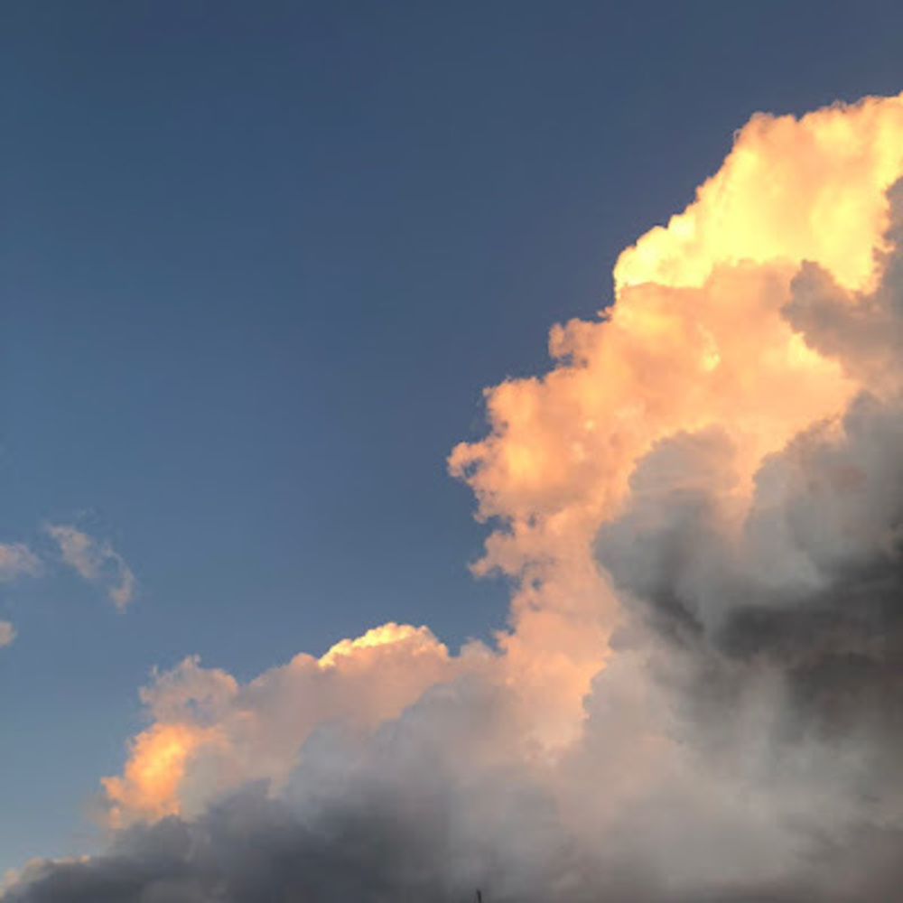 Meet your Posher, Gabi